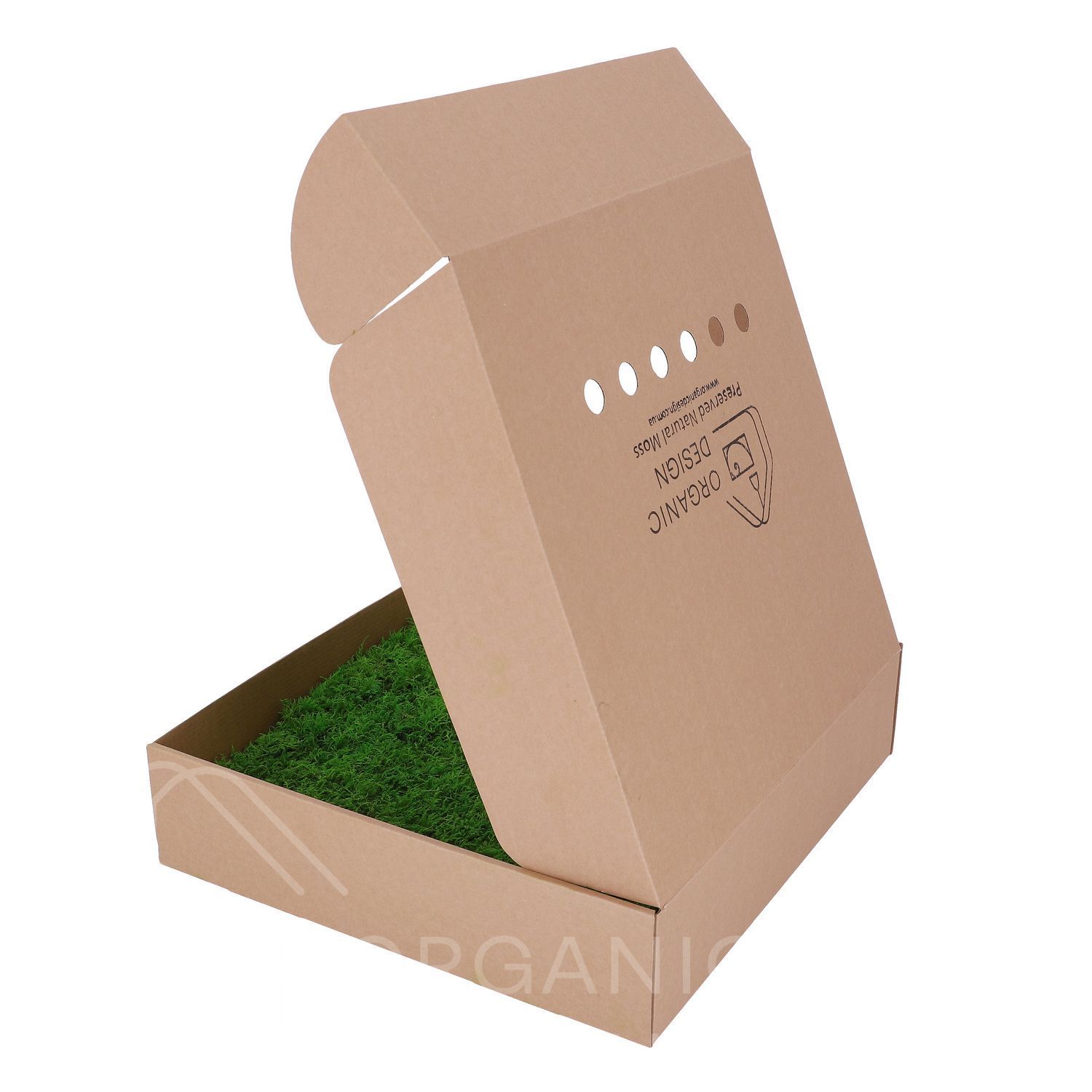 Мох Декоративний - Ковровий Мох - Nature Green - Коробка 38х37х9 см