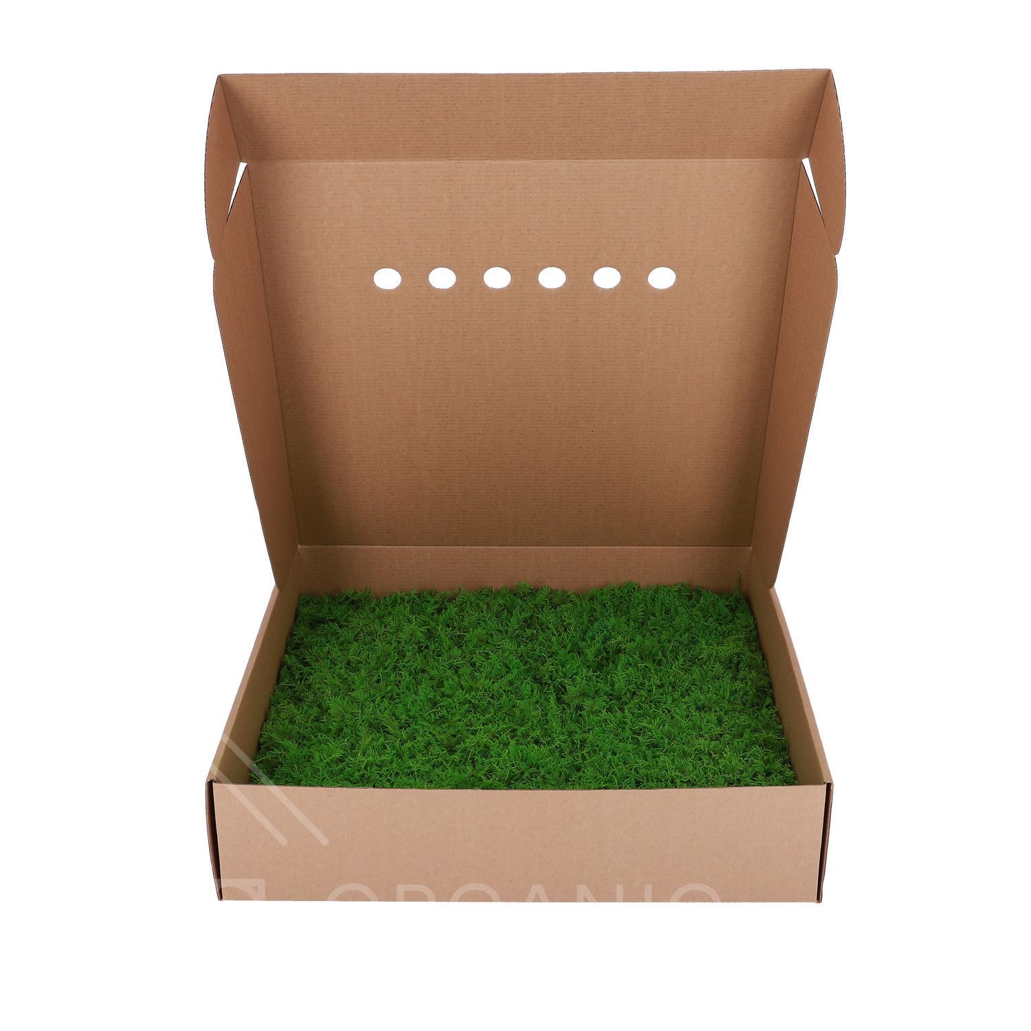Мох Декоративний - Ковровий Мох - Nature Green - Коробка 38х37х9 см