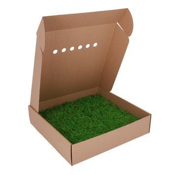 Мох Декоративний - Ковровий Мох - Nature Green - Коробка 38х37х9 см