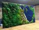 Preserved Moss and Bark Wall Art - 120x60 cm