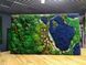Preserved Moss and Bark Wall Art - 120x60 cm