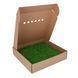 Мох Декоративний - Ковровий Мох - Nature Green - Коробка 38х37х9 см