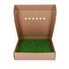Мох Декоративний - Ковровий Мох - Nature Green - Коробка 38х37х9 см
