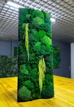 Картина з Моху &mdash; 90x40 см