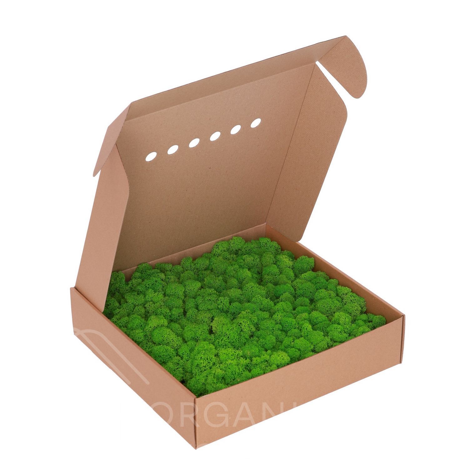 Стабілізований Мох - Ягель - 0,5 кг - Light Green - Салатовий