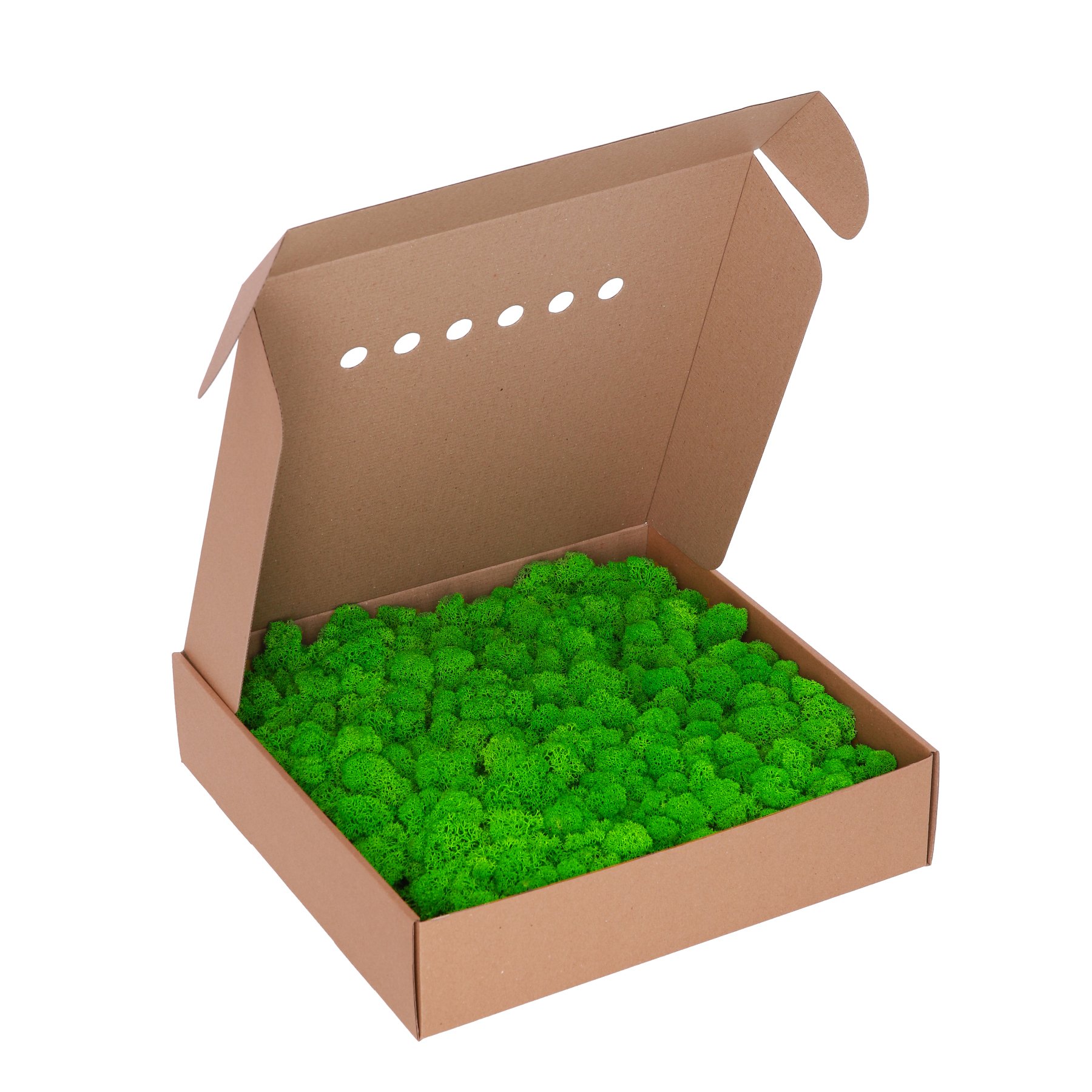 Стабілізований мох - Ягель - Light Green - Салатовий - 0,5 кг