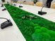 Interior Greening - Custom Made - in 3 - 5 Days