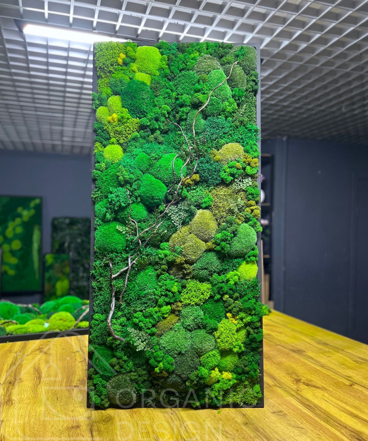 Еко-Картина з Моху &mdash; 90x40 см - Кочка та Рослини