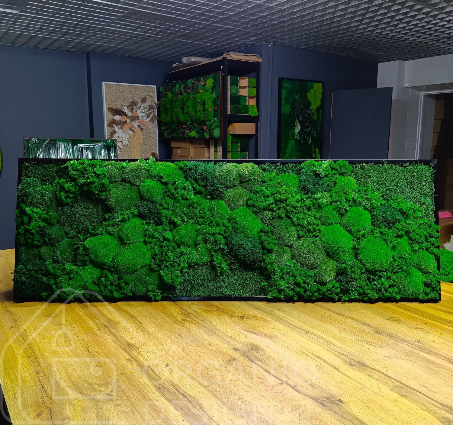 Объёмная Картина из Мха &mdash; 120x30 см - Кочка