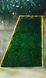 Phytomodules for Vertical Greening - Decorative Moss, Plants and Flowers - Custom Made