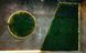 Phytomodules for Vertical Greening - Decorative Moss, Plants and Flowers - Custom Made