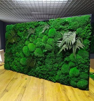 Картина з Моху &mdash; 120x60 см - Ягель