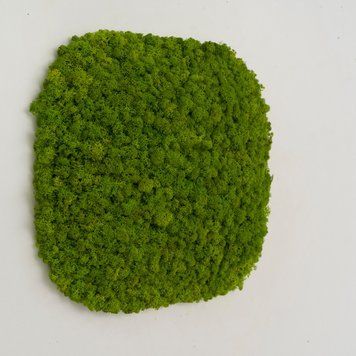 Moss Panel - Superellipse 33 cm - Light Green