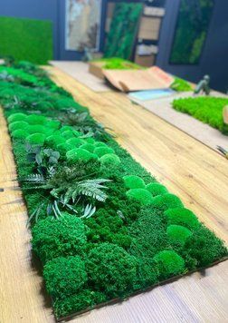 Панно з Моху - Nature Green - 150&times;30 см