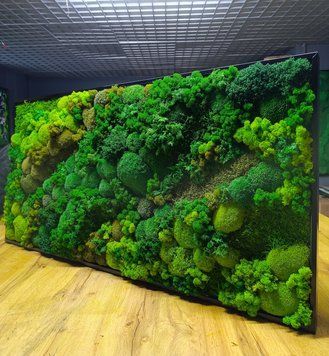 Картина из Мха - 120x60 см - Плоский Мох и Растения - 838