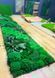 Moss Panel - Nature Green - 150x30 cm