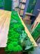 Moss Panel - Nature Green - 150x30 cm