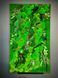 Moss Wall Art - 120x80 cm - Reindeer Moss and Fern - 847