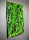 Moss Wall Art - 120x80 cm - Reindeer Moss and Fern - 847
