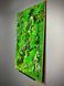 Moss Wall Art - 120x80 cm - Reindeer Moss and Fern - 847
