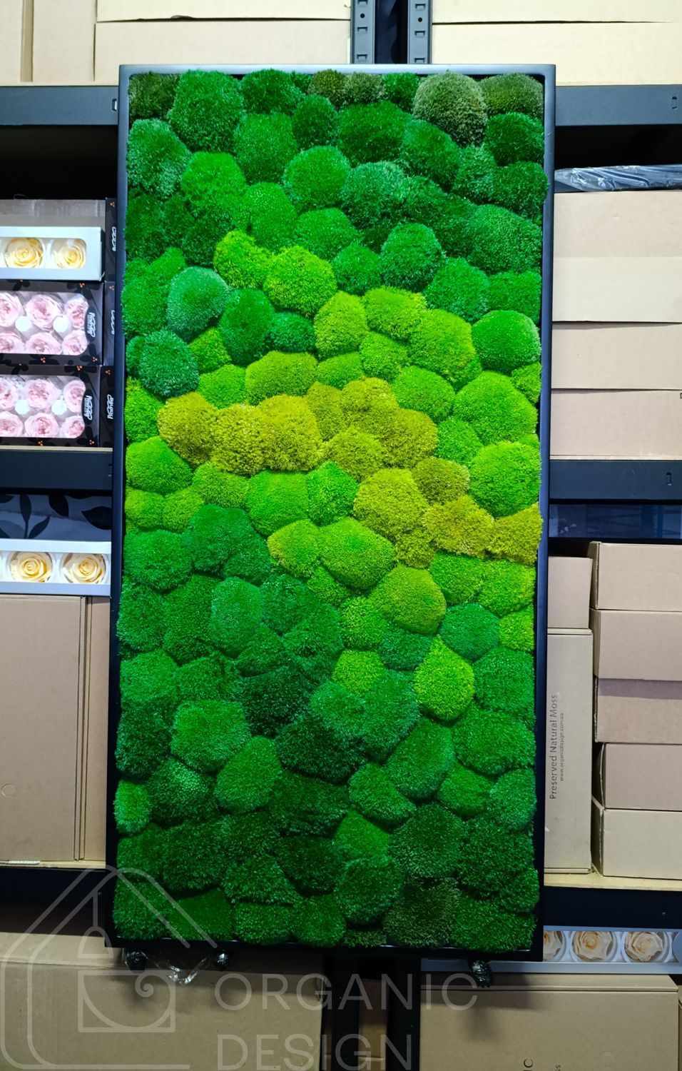 Об'ємна Картина з Моху &mdash; 120x60 см - Кочка