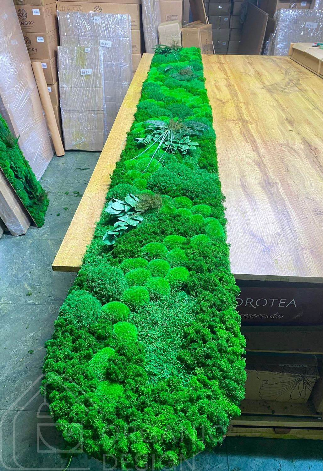 Moss and Plants Panel - 180x30 cm