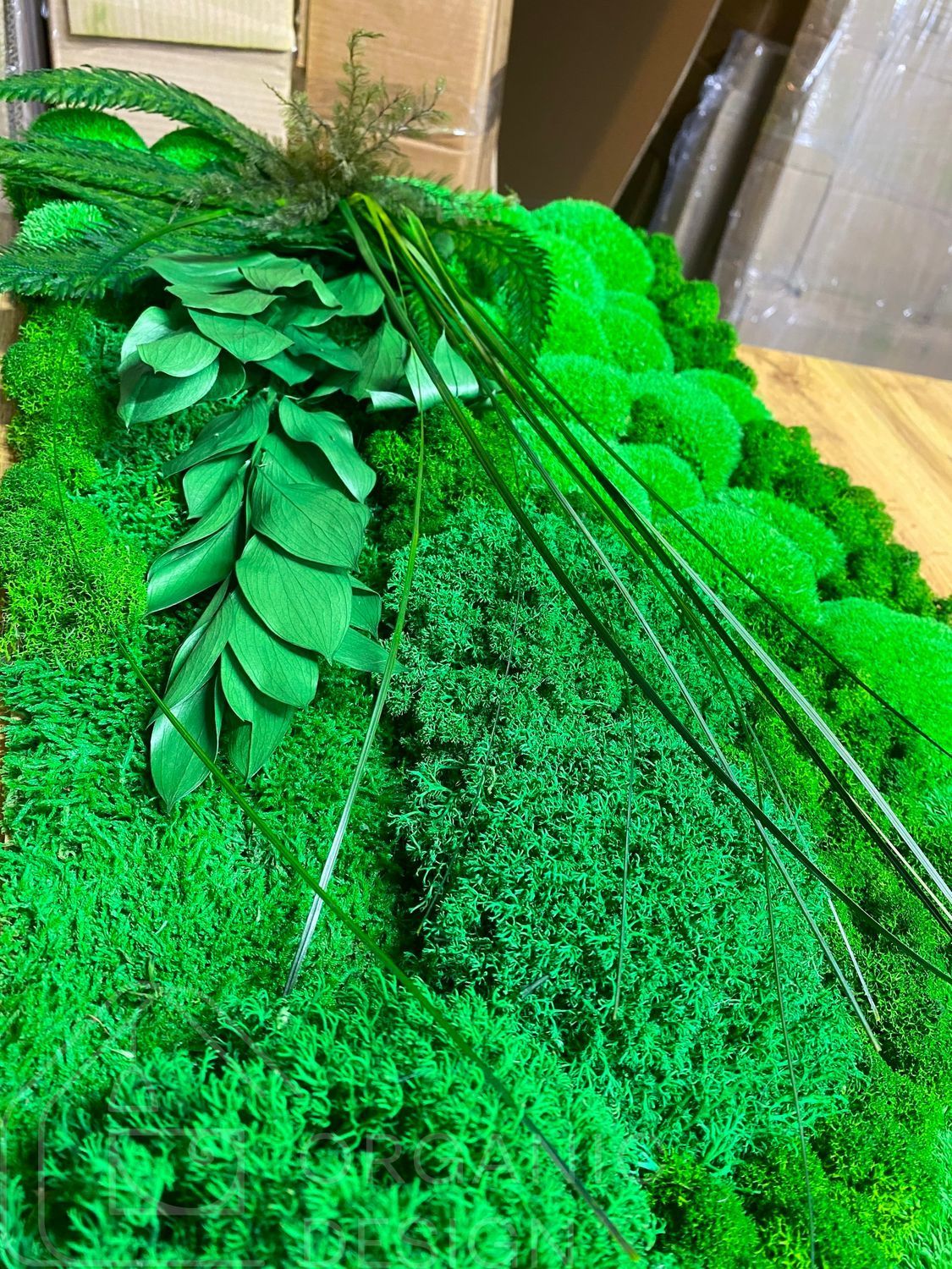 Moss and Plants Panel - 180x30 cm