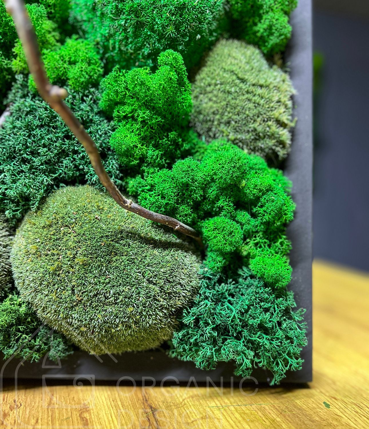 Картина из Мха в Интерьере &mdash; 120x60 см