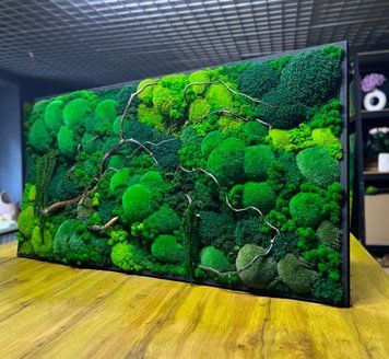 Картина з Моху в Інтер'єрі &mdash; 120x60 см