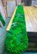 Moss and Plants Panel - 180x30 cm