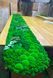 Moss and Plants Panel - 180x30 cm