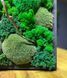 Картина из Мха в Интерьере &mdash; 120x60 см