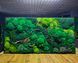 Картина из Мха в Интерьере &mdash; 120x60 см