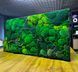Картина из Мха в Интерьере &mdash; 120x60 см