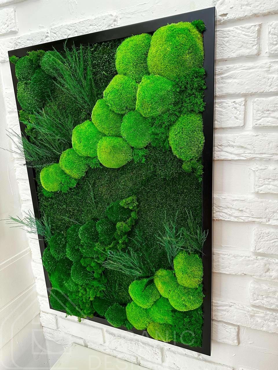 Картина из мха - 60x40 см - Кочка и Растения - 848