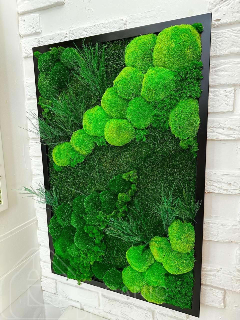 Картина из мха - 60x40 см - Кочка и Растения - 848