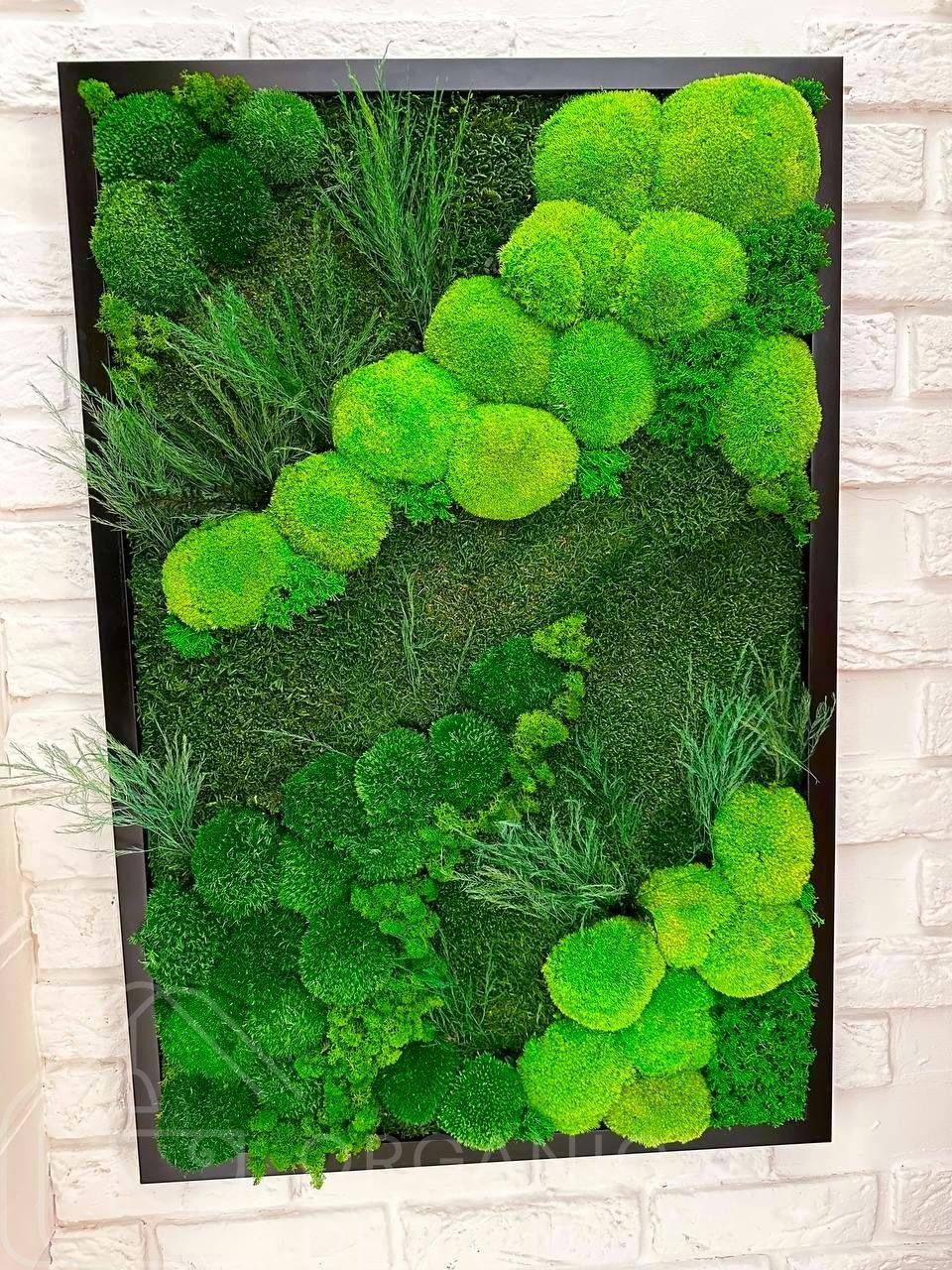 Картина из мха - 60x40 см - Кочка и Растения - 848