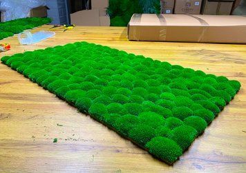 Панно з Моху - Кочка - 90&times;60 см