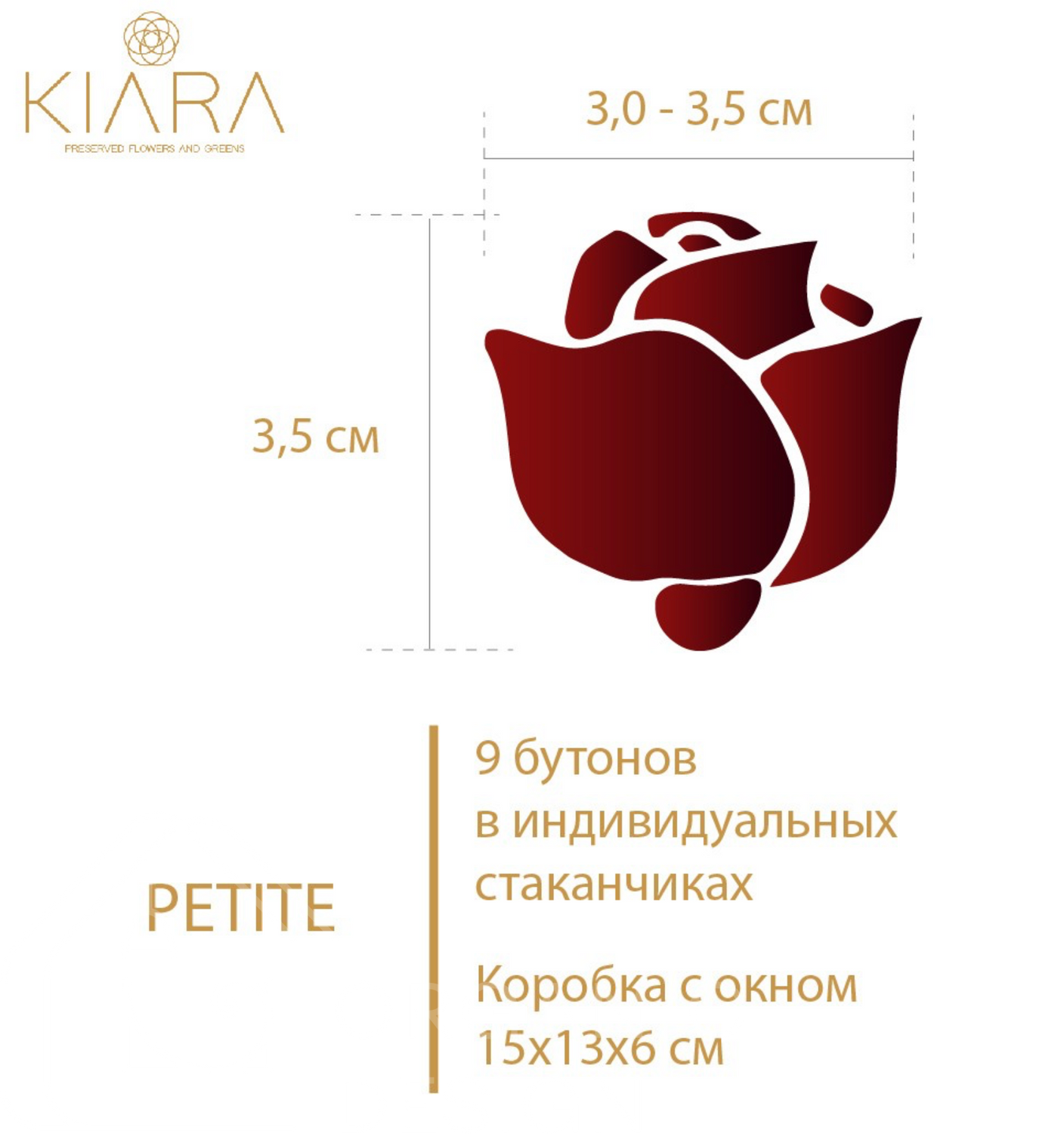 Троянди М стабілізовані в коробці - Тілесний