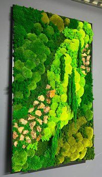 Фітокартина з Моху &mdash; 160x90 см - Плоский Мох та Рослини