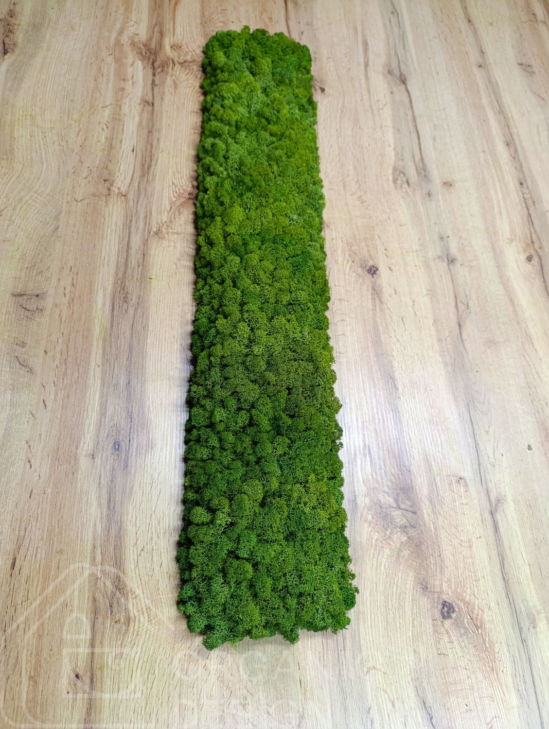 Акустическая Панель из Мха - Medium Green - 90x15 см
