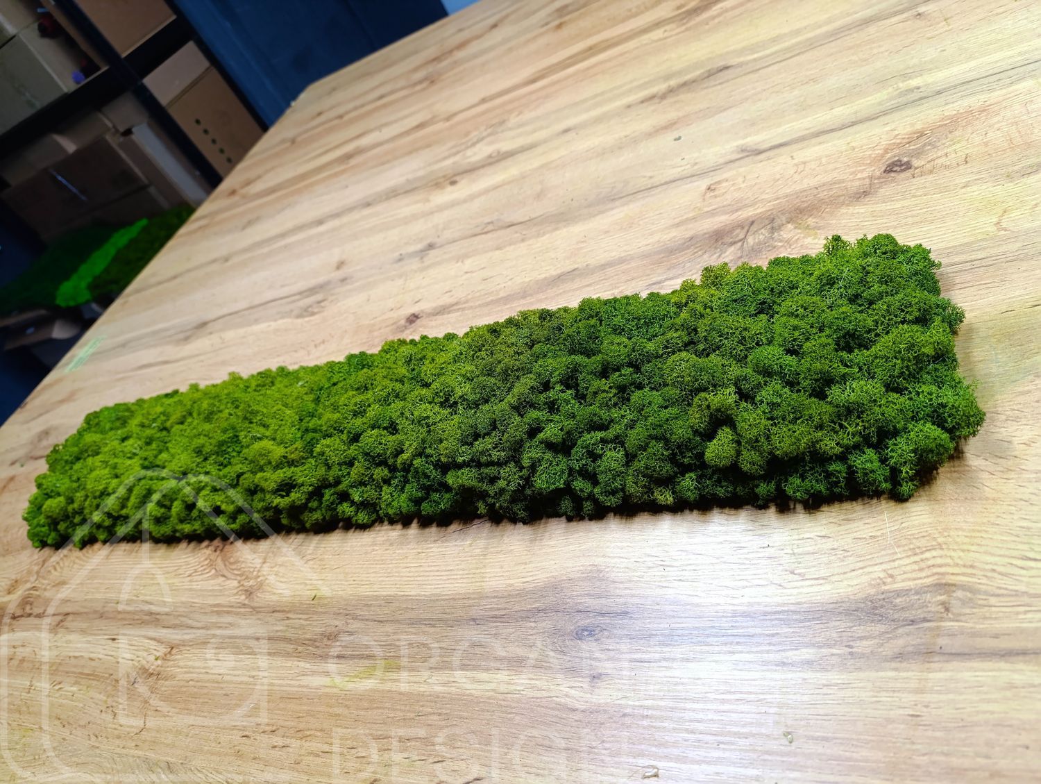 Акустическая Панель из Мха - Medium Green - 90x15 см