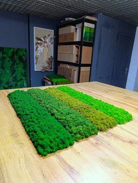 Акустическая Панель из Мха - Medium Green - 90x15 см