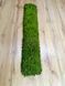 Акустическая Панель из Мха - Medium Green - 90x15 см