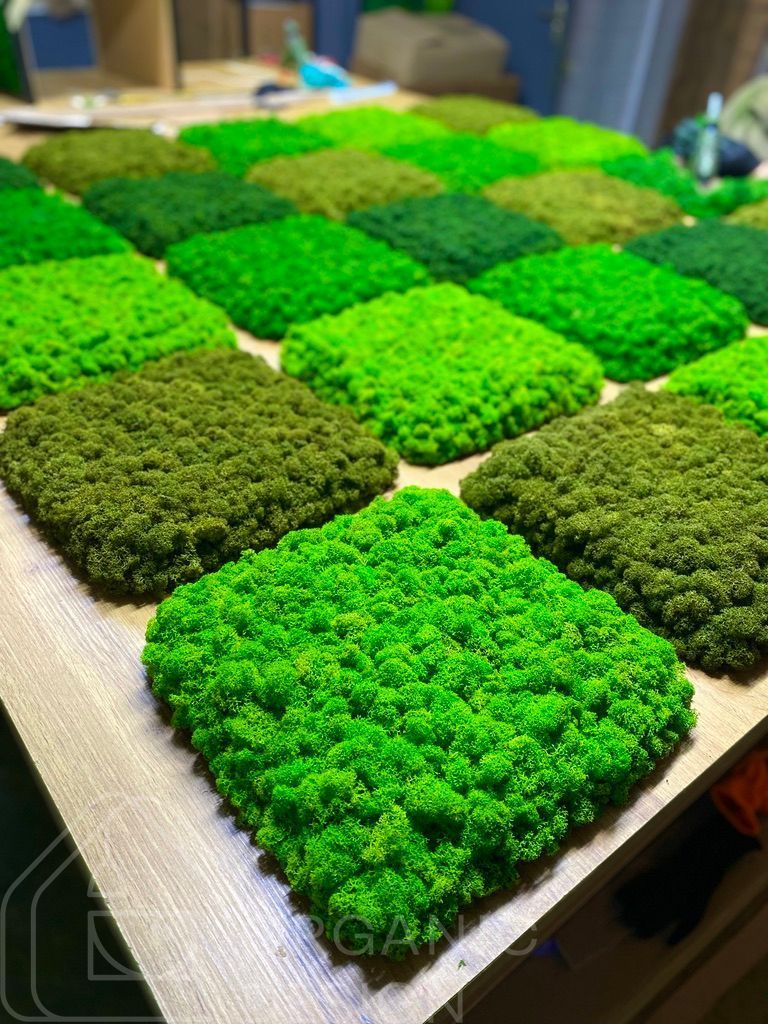 Interior Greening Kyiv - Organic Design