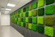 Interior Greening Kyiv - Organic Design
