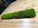 Акустическая Панель из Мха - Medium Green - 90x15 см