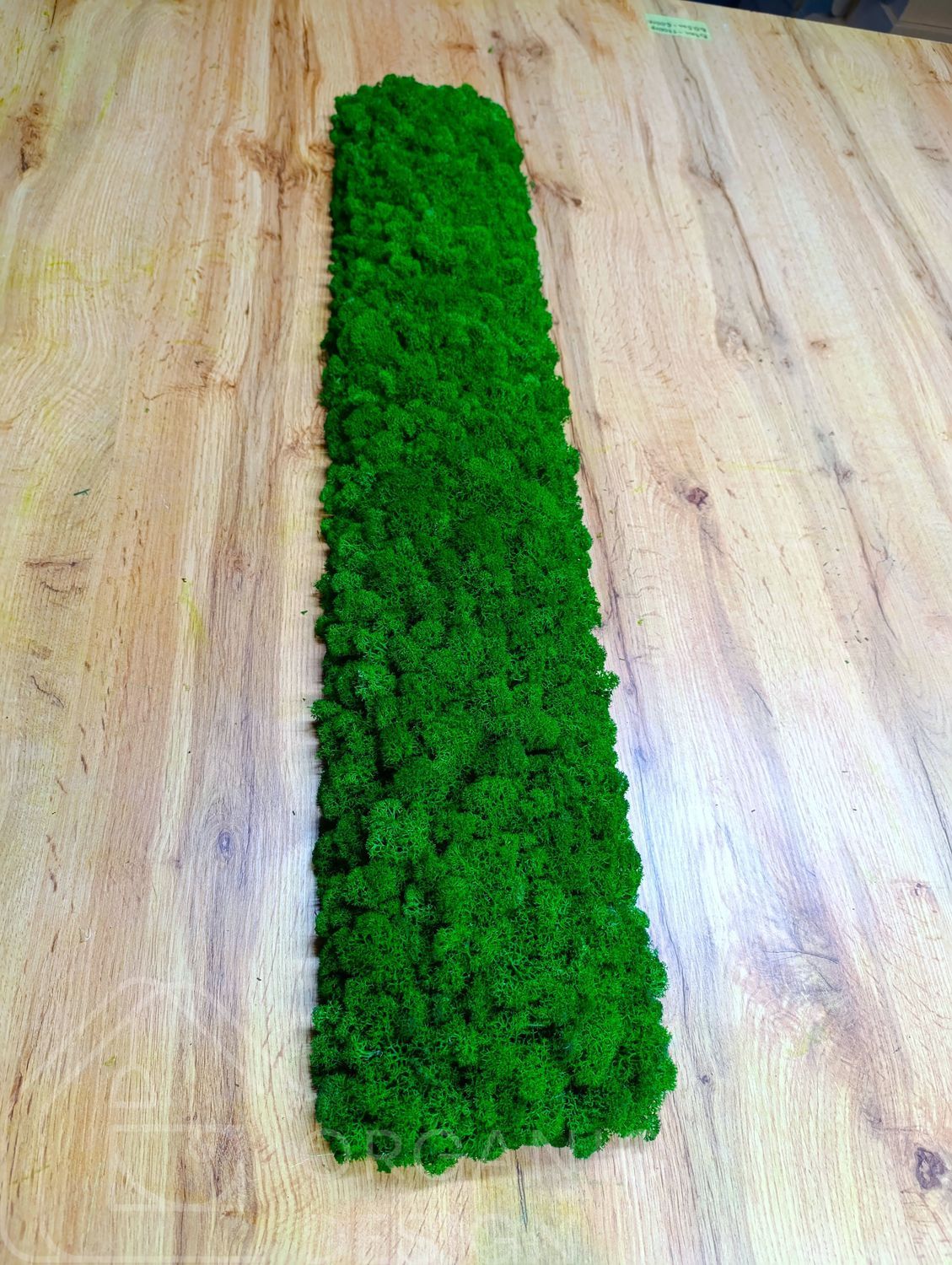Акустична Панель з Моху - Nature Green - 90x15 см