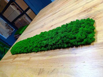 Акустическая Панель из Мха - Nature Green - 90x15 см