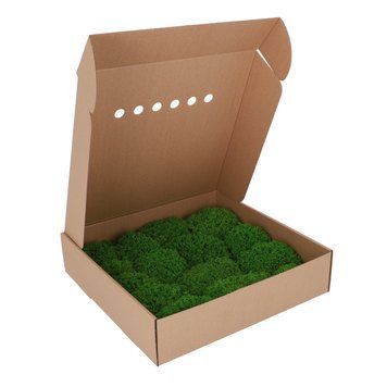 Королівський Мох - Ягель - Light Green - Коробка 38х37х9 см